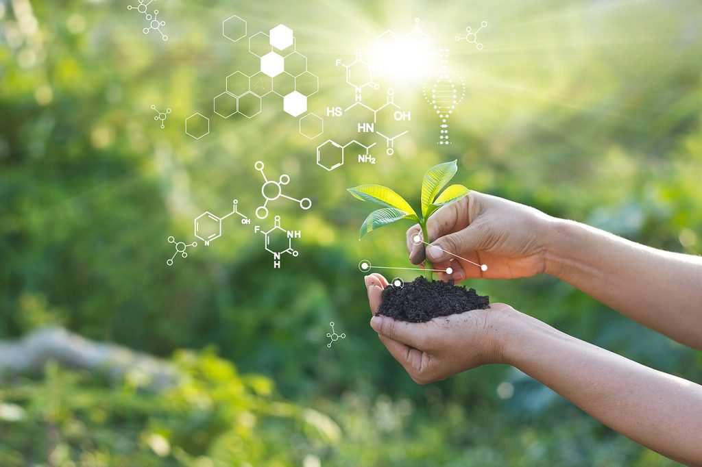 Plant Biotechnology